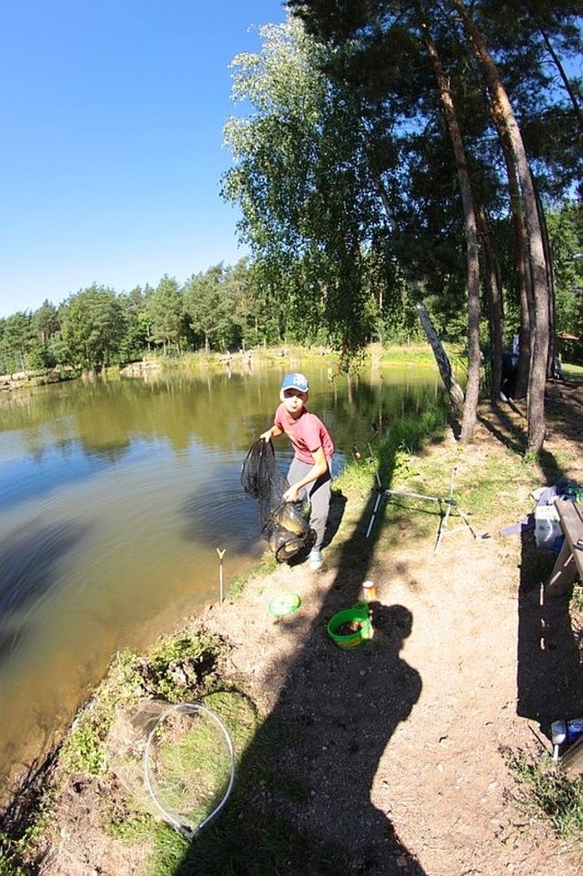 Obrodziło karpiami - zdjęcia