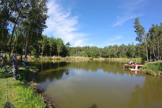 Obrodziło karpiami - zdjęcia