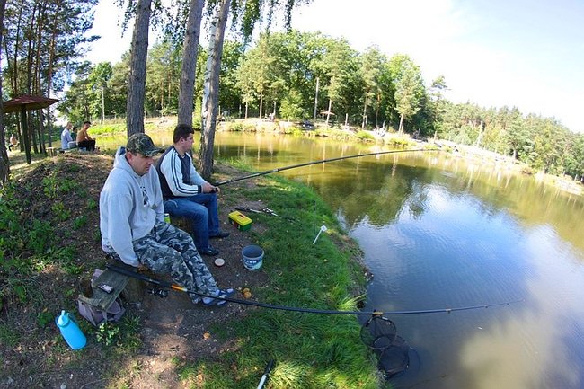 Obrodziło karpiami - zdjęcia