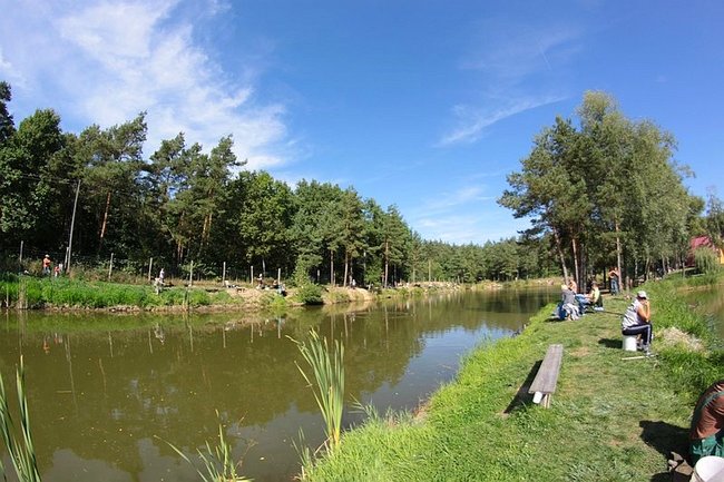 Obrodziło karpiami - zdjęcia