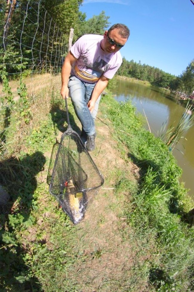 Obrodziło karpiami - zdjęcia