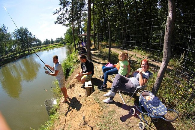 Obrodziło karpiami - zdjęcia