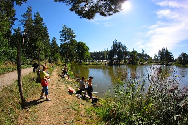 Obrodziło karpiami - zdjęcia