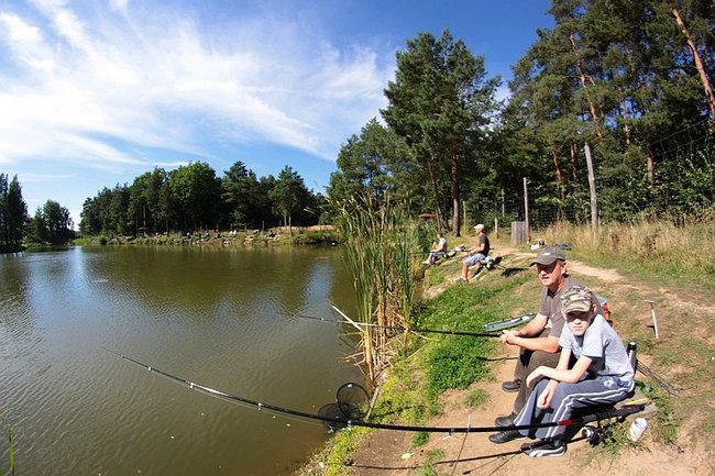 Obrodziło karpiami - zdjęcia