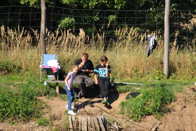 Obrodziło karpiami - zdjęcia