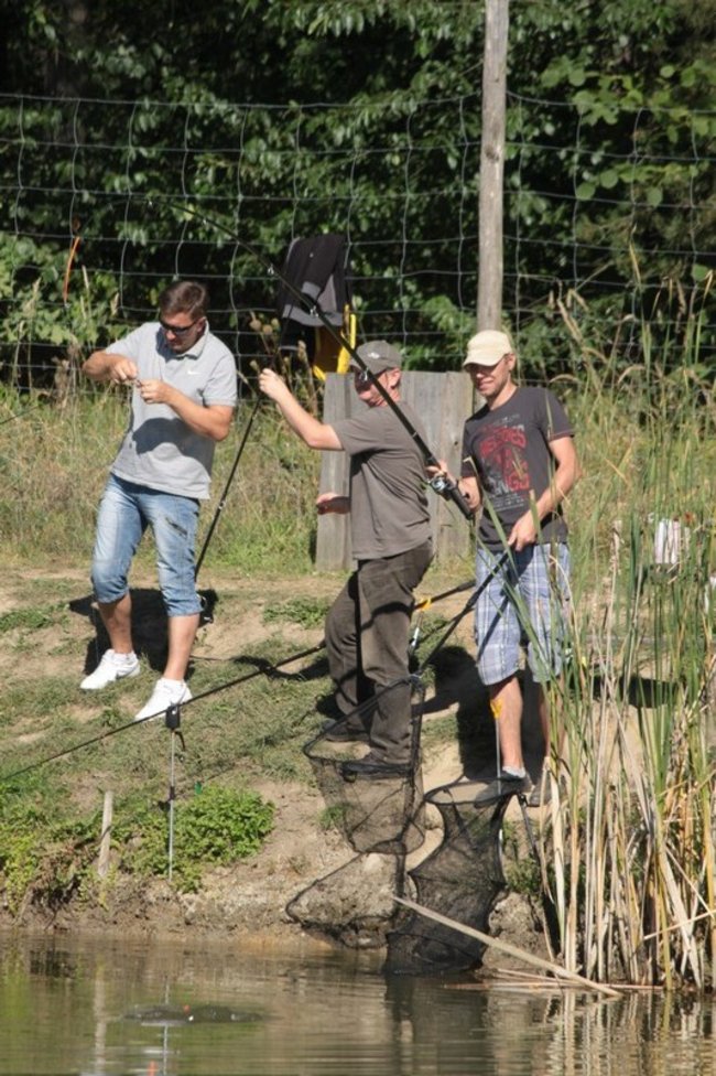 Obrodziło karpiami - zdjęcia