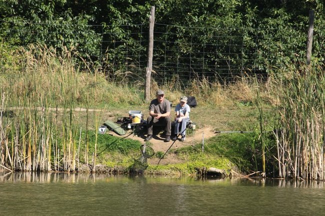 Obrodziło karpiami - zdjęcia