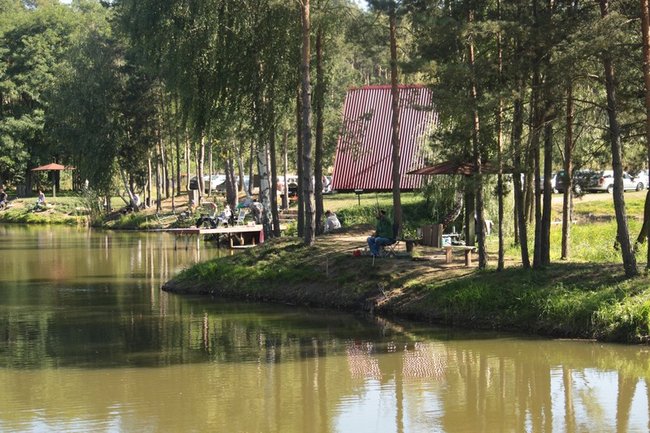 Obrodziło karpiami - zdjęcia