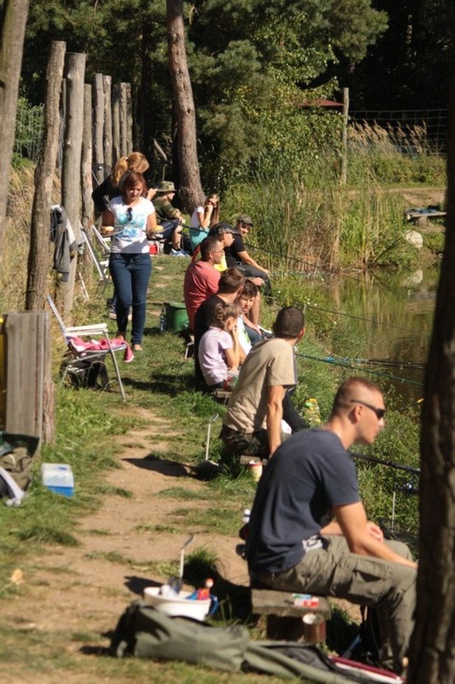 Obrodziło karpiami - zdjęcia