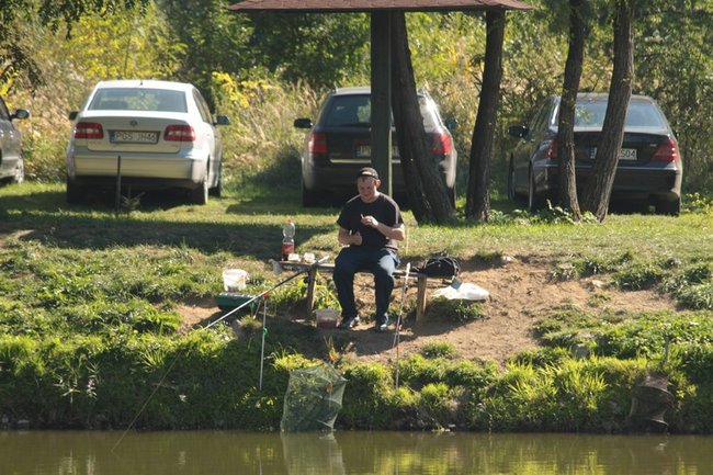 Obrodziło karpiami - zdjęcia