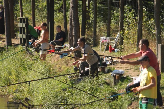 Obrodziło karpiami - zdjęcia