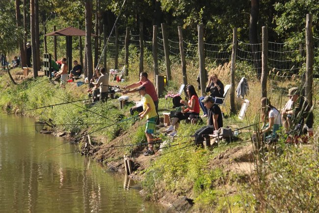 Obrodziło karpiami - zdjęcia