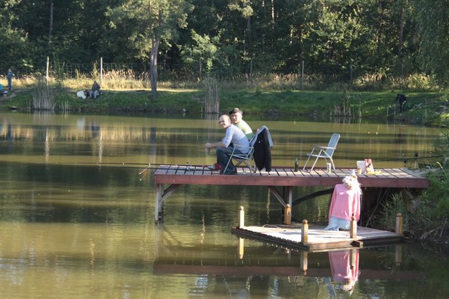 Obrodziło karpiami - zdjęcia