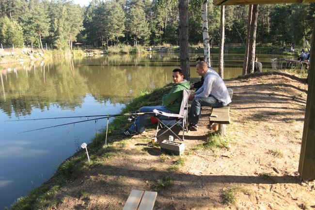Obrodziło karpiami - zdjęcia
