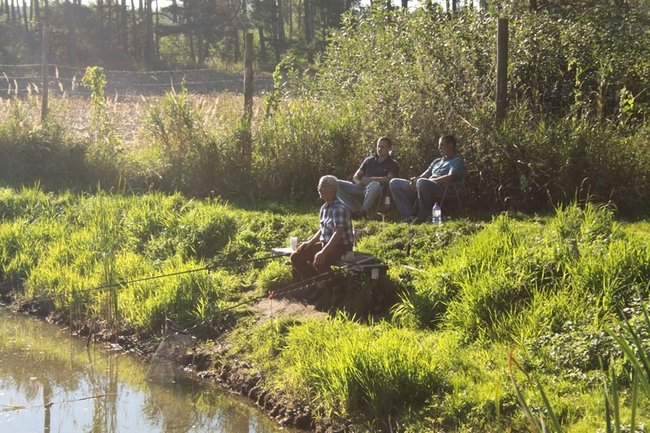 Obrodziło karpiami - zdjęcia