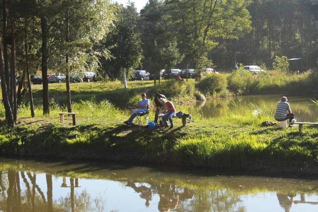 Obrodziło karpiami - zdjęcia