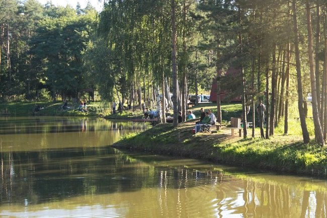 Obrodziło karpiami - zdjęcia