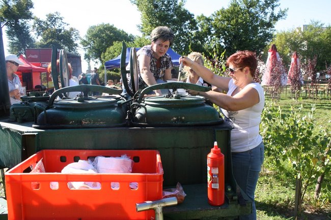 W pogoni za lisem - zdjęcia