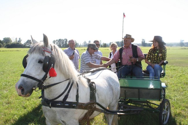 W pogoni za lisem - zdjęcia