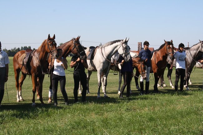 W pogoni za lisem - zdjęcia