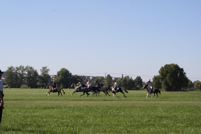W pogoni za lisem - zdjęcia