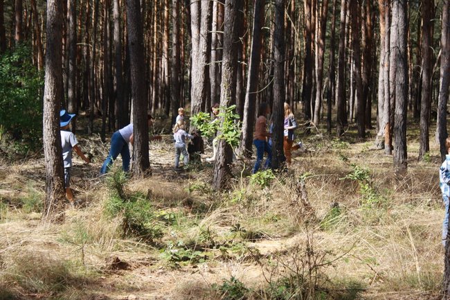 W pogoni za lisem - zdjęcia