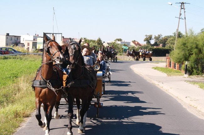 W pogoni za lisem - zdjęcia
