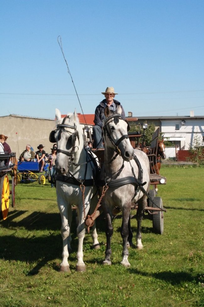 W pogoni za lisem - zdjęcia