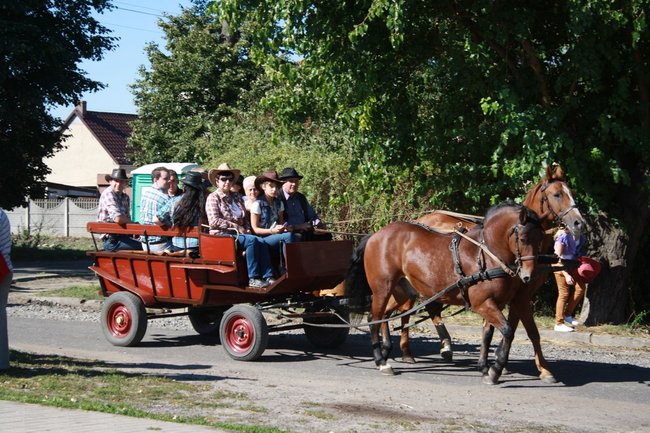 W pogoni za lisem - zdjęcia