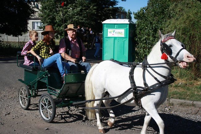 W pogoni za lisem - zdjęcia