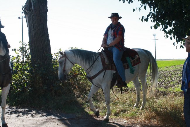 W pogoni za lisem - zdjęcia