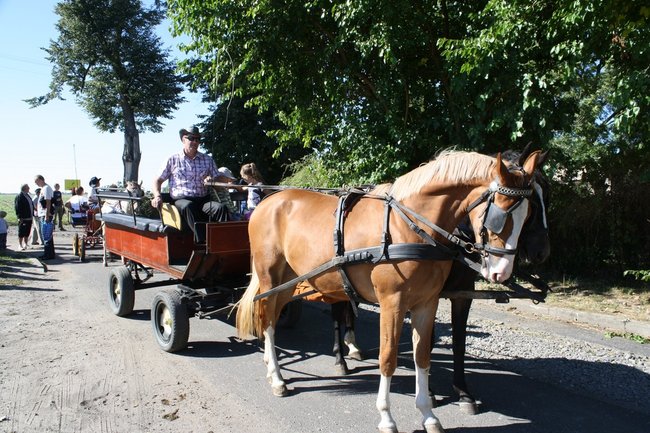 W pogoni za lisem - zdjęcia