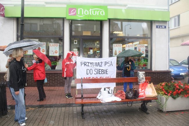 Przykuli się łańcuchami - zdjęcia