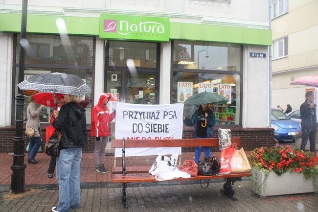 Przykuli się łańcuchami - zdjęcia