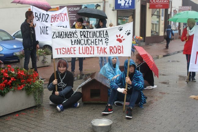 Przykuli się łańcuchami - zdjęcia