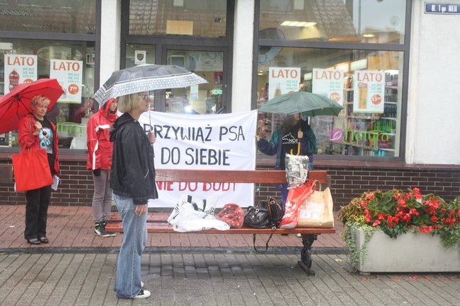 Przykuli się łańcuchami - zdjęcia