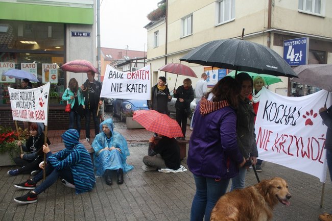 Przykuli się łańcuchami - zdjęcia