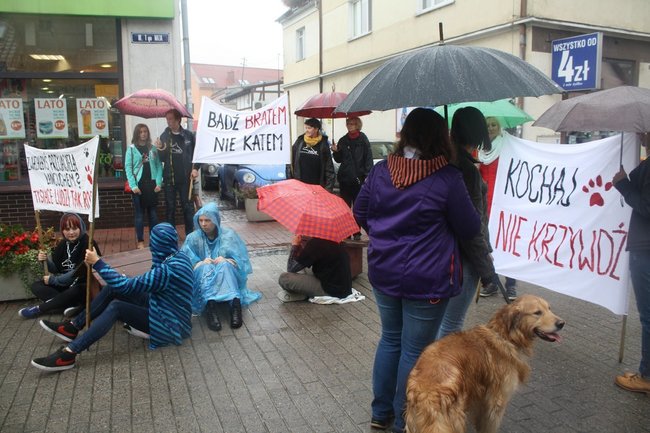 Przykuli się łańcuchami - zdjęcia