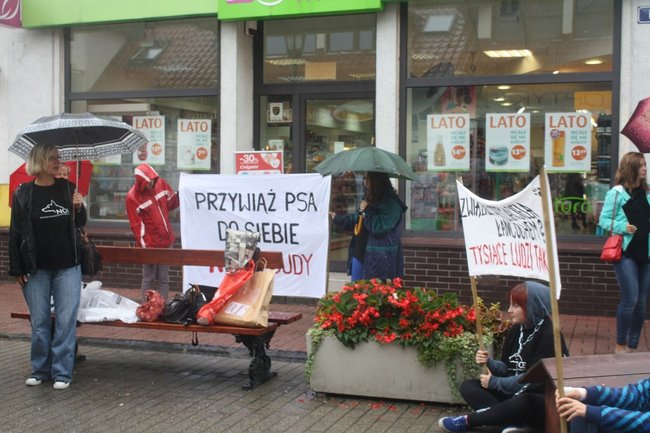 Przykuli się łańcuchami - zdjęcia