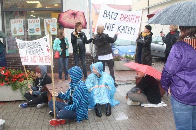 Przykuli się łańcuchami - zdjęcia