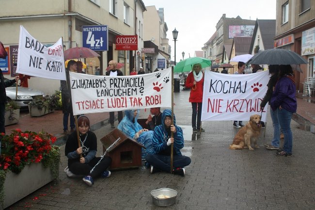 Przykuli się łańcuchami - zdjęcia