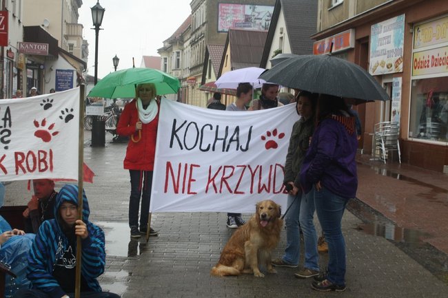 Przykuli się łańcuchami - zdjęcia