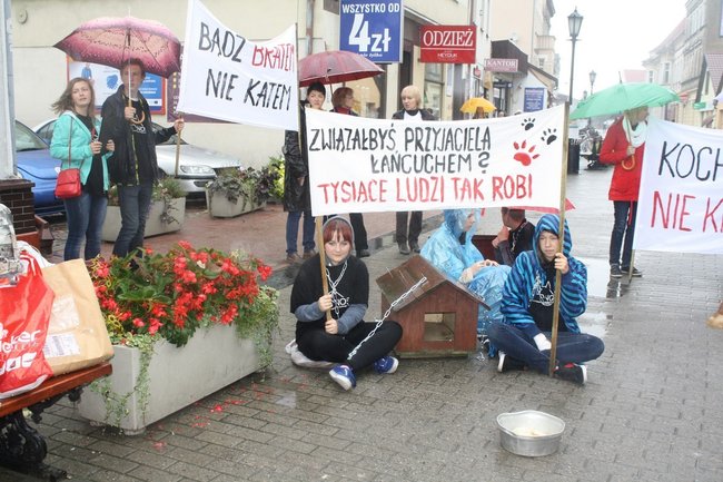 Przykuli się łańcuchami - zdjęcia