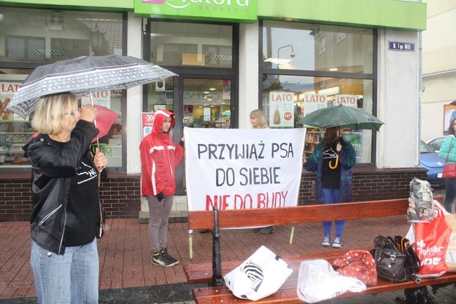 Przykuli się łańcuchami - zdjęcia