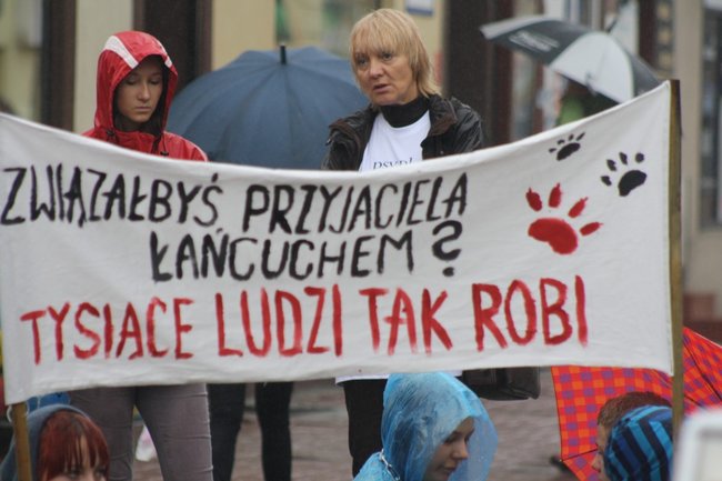 Przykuli się łańcuchami - zdjęcia