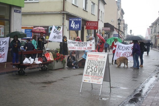 Przykuli się łańcuchami - zdjęcia