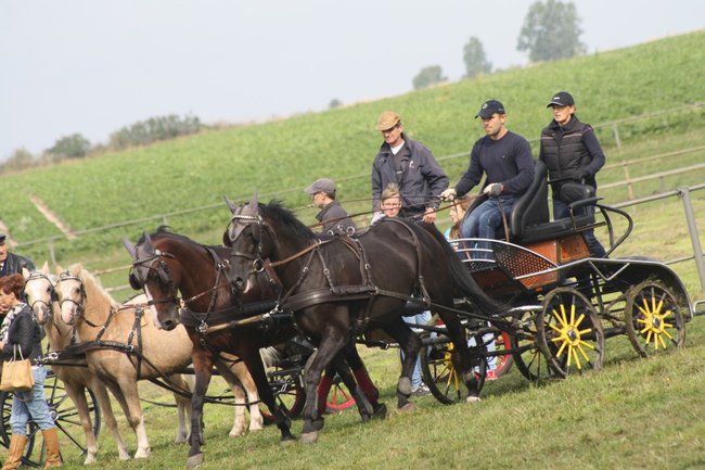 Podtrzymując wiekową tradycję - zdjęcia