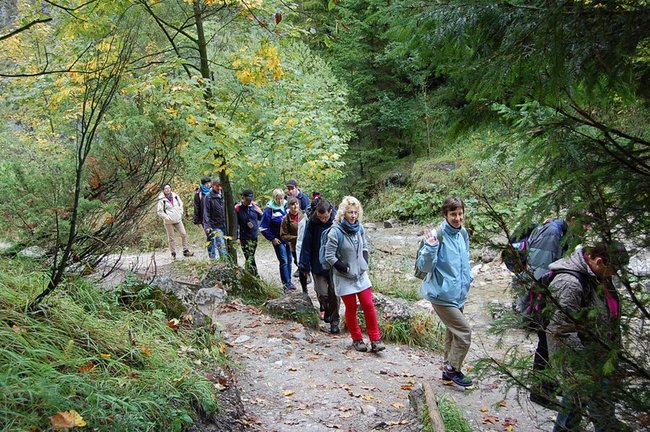 Nie nudzą się dzięki projektom