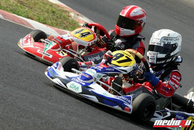 W pucharowej czołówce - zdjęcia