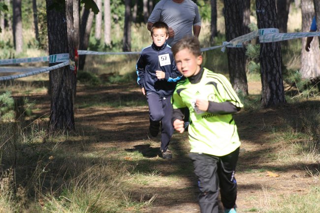 Nic, tylko biegać... - zdjęcia